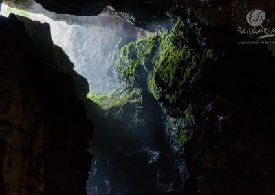devil's throat
