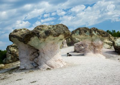 the-stone-mushrooms-1
