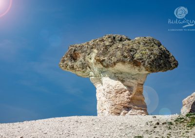 the-stone-mushrooms-2