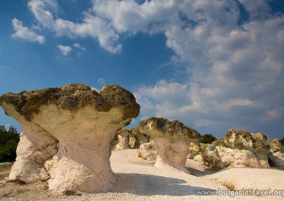 the-stone-mushrooms-3