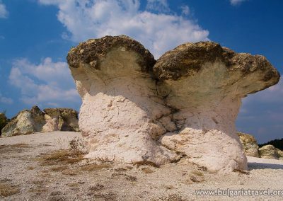 the-stone-mushrooms-4