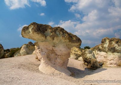 the-stone-mushrooms-5